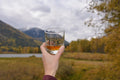 Wild Folk ~ Arrow and Axe Whiskey Glass