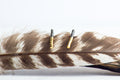 Elouise Studs